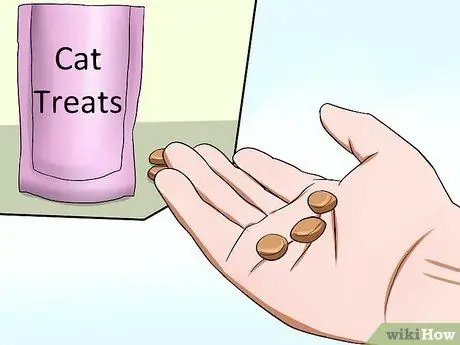 Заставьте сварливого кота понравиться вам Шаг 2