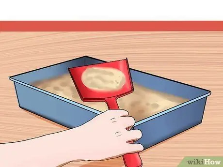 Заставьте сварливого кота понравиться вам Шаг 4