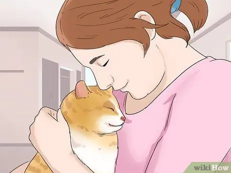 Позаботьтесь об эгейской кошке Шаг 10