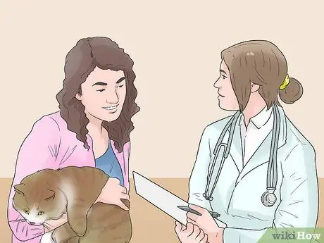 Позаботьтесь об эгейской кошке Шаг 5