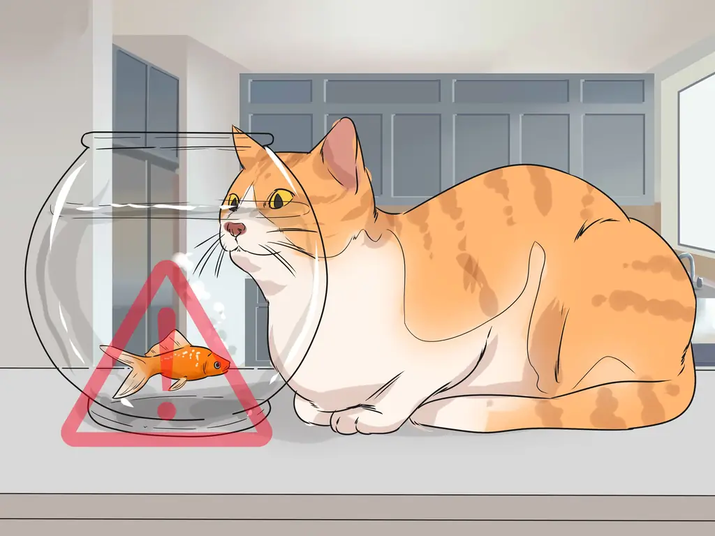 3 способа позаботиться об эгейской кошке