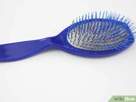 Связь с бездомной кошкой Шаг 7