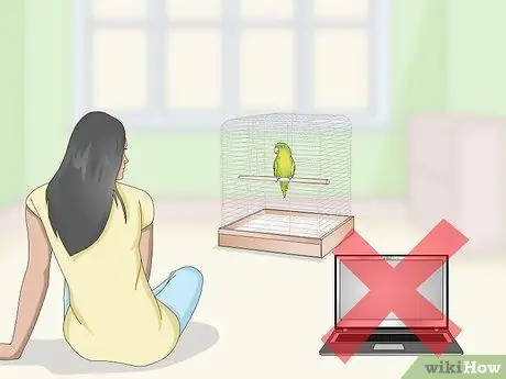 Научите попугая говорить. Шаг 3