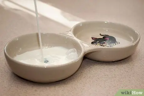 Начать вместе со своей кошкой Шаг 10