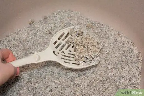 Начать вместе со своей кошкой Шаг 11