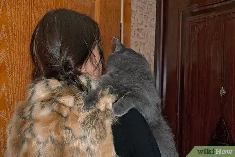 Начать со своей кошкой Шаг 9