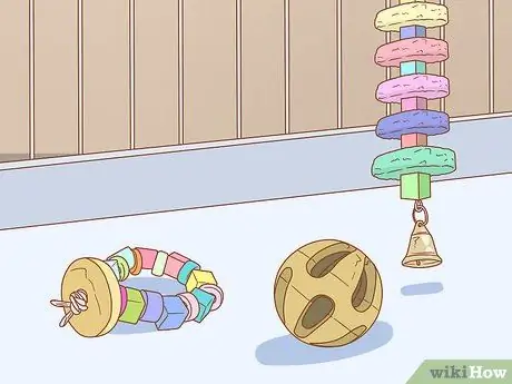 Держите ара под занятием Шаг 2