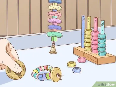 Держите ара занятым Шаг 3