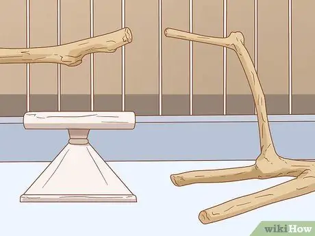 Держите ара занятым Шаг 6