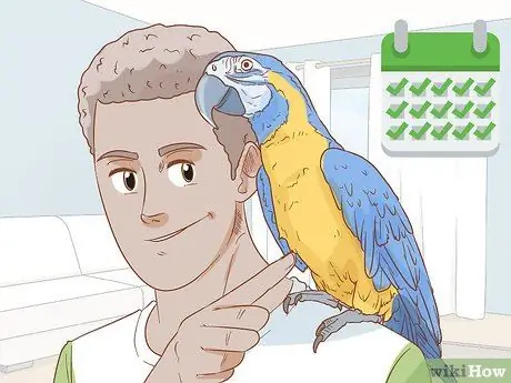 Держите ара под занятием Шаг 7