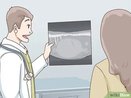 Диагностика и лечение пиометры у кошек Шаг 6