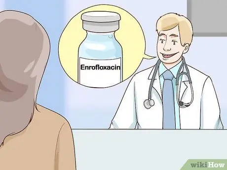 Диагностика и лечение пиометры у кошек Шаг 8