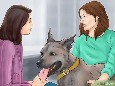 Чувствуйте себя комфортно рядом с большими собаками Шаг 1