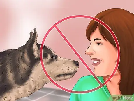 Почувствуйте себя комфортно рядом с большими собаками Шаг 2