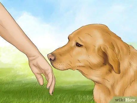 Чувствуйте себя комфортно рядом с большими собаками Шаг 5