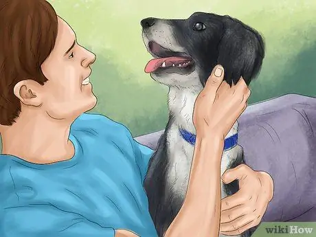 Чувствуйте себя комфортно рядом с большими собаками Шаг 6