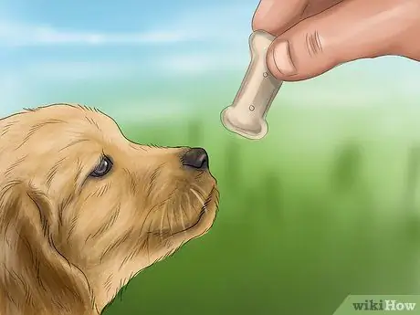 Чувствуйте себя комфортно рядом с большими собаками Шаг 9