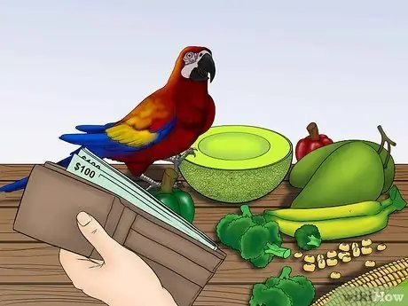 Расчет стоимости усыновления попугая Шаг 11