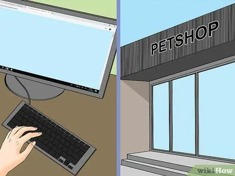 Рассчитайте стоимость усыновления попугая Шаг 15