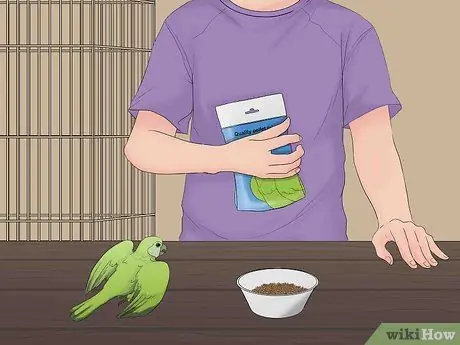 Расчет стоимости усыновления попугая Шаг 3