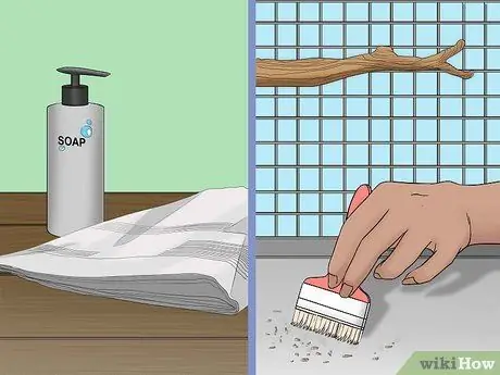 Расчет стоимости усыновления попугая Шаг 8