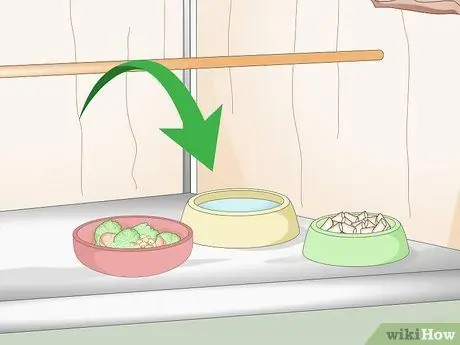 Создайте среду обитания для попугаев-пионов, шаг 11