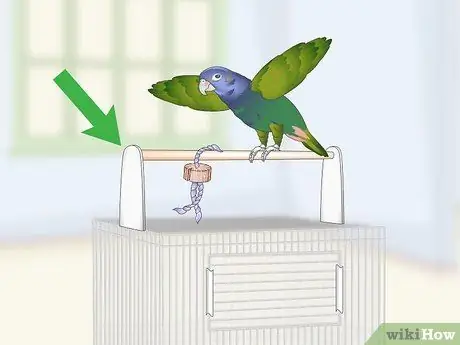 Создание среды обитания для попугаев-пионов Шаг 13