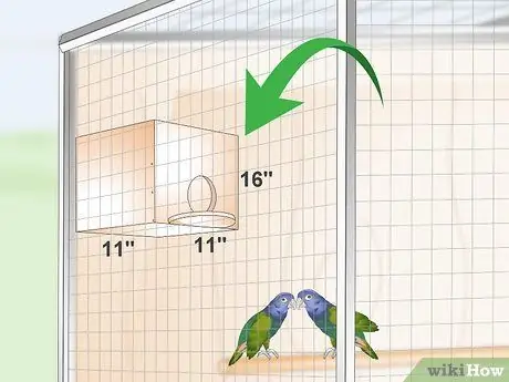Создание среды обитания для попугаев-пионов Шаг 15