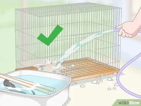 Создайте среду обитания для попугаев-пионов, шаг 16