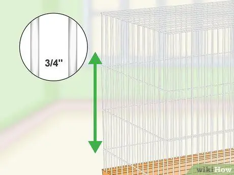 Создание среды обитания для попугаев-пионов, шаг 2