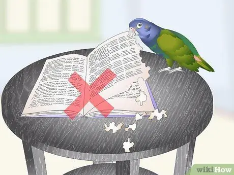 Создание среды обитания для попугаев-пионов, шаг 20