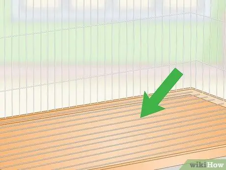 Создание среды обитания для попугаев-пионов, шаг 3