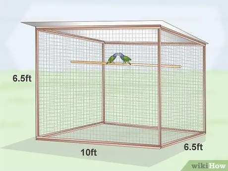 Создание среды обитания для попугаев-пионов Шаг 4