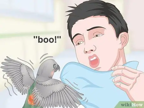 Развлекайте красного пузатого попугая Шаг 12