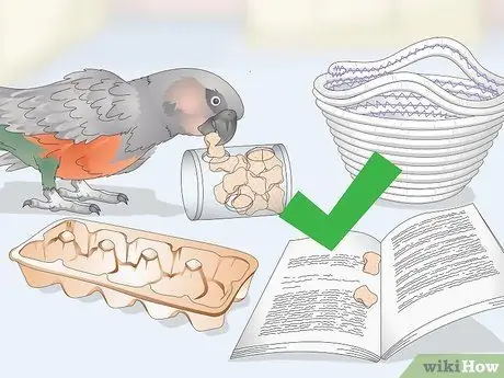 Развлекайте попугая с красным животом Шаг 3