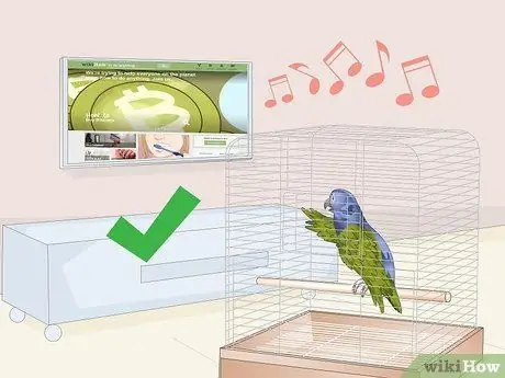 Развлекайте попугая-пионус Шаг 14