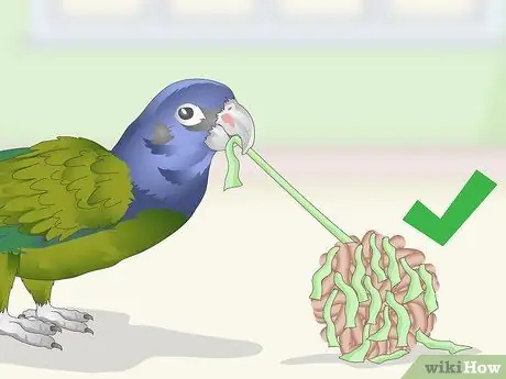 Развлекайте попугая-пионус Шаг 2
