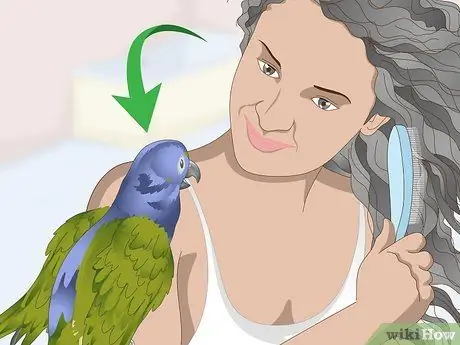 Развлекайте попугая-пионус Шаг 8