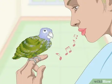 Связь с попугаем-пионусом Шаг 6