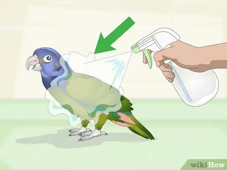 Держите попугаев Pionus в уходе, шаг 1