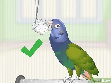 Уход за попугаями-пионами Шаг 12