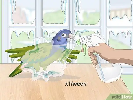 Уход за попугаями-пионами Шаг 3