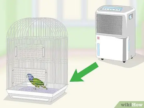 Уход за попугаями-пионами Шаг 7