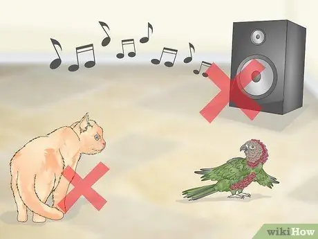 Справиться с агрессивным попугаем с головой ястреба Шаг 13