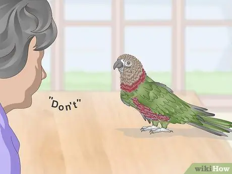 Справиться с агрессивным попугаем с головой ястреба Шаг 7