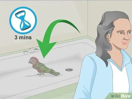 Справиться с агрессивным попугаем с головой ястреба Шаг 8