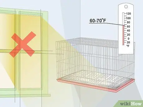 Дом канарейки Шаг 10