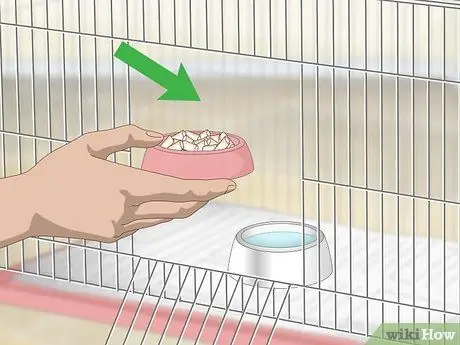 Дом канарейка Шаг 11