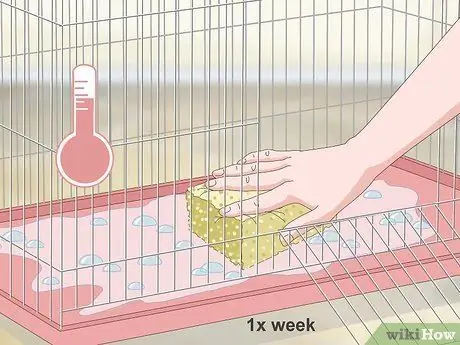 Дом канарейка Шаг 15