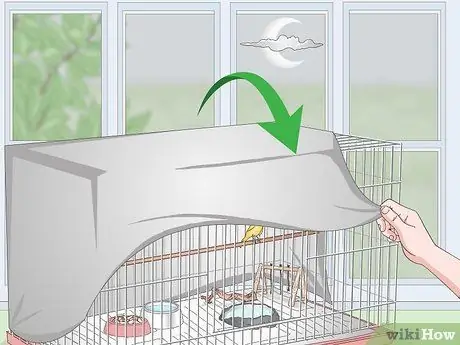 Дом канарейка Шаг 17